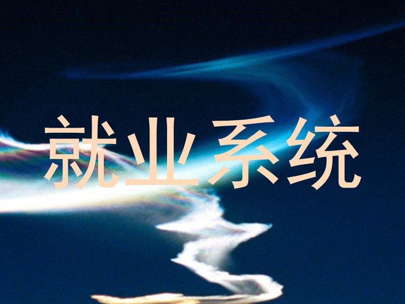 就业系统