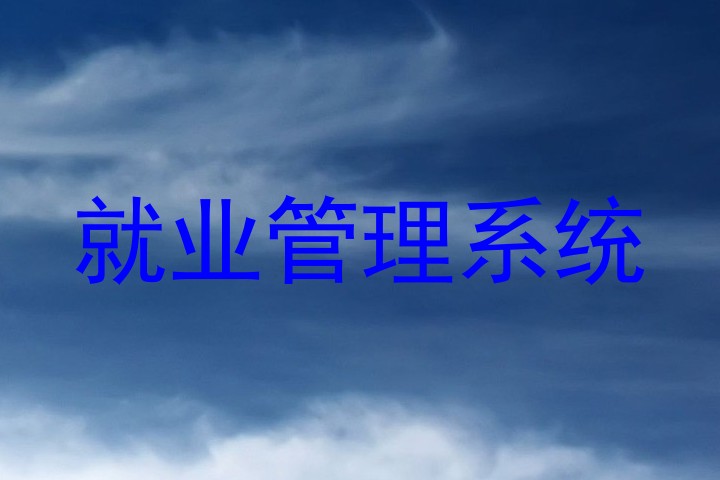 就业管理系统