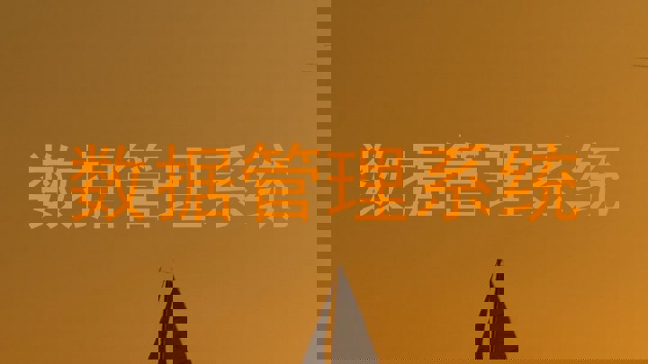 数据管理系统