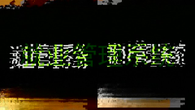 就业管理系统