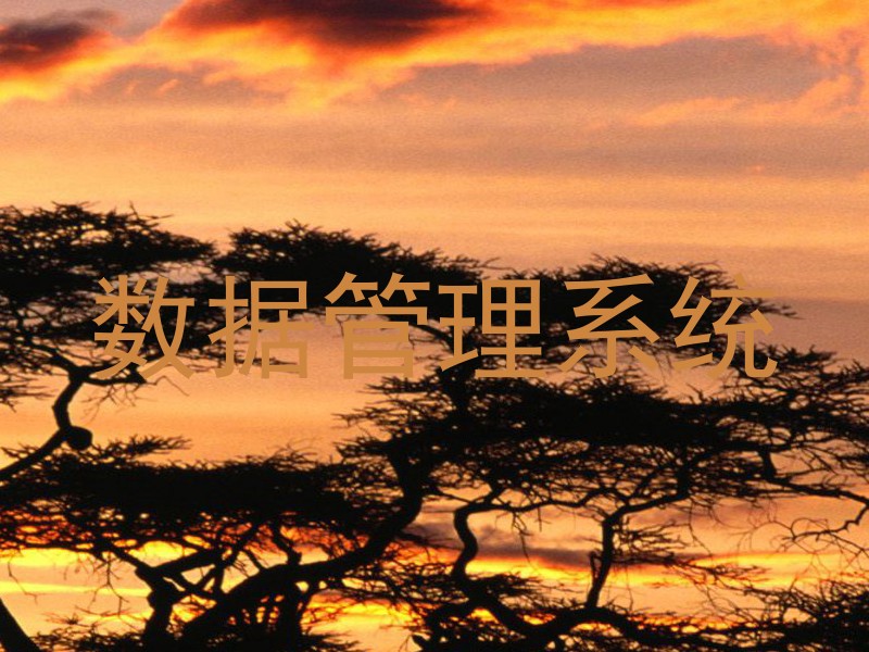 数据管理系统