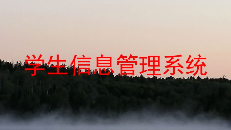 学生信息管理系统
