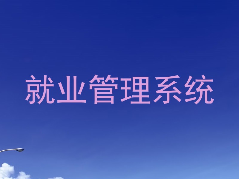 就业管理系统