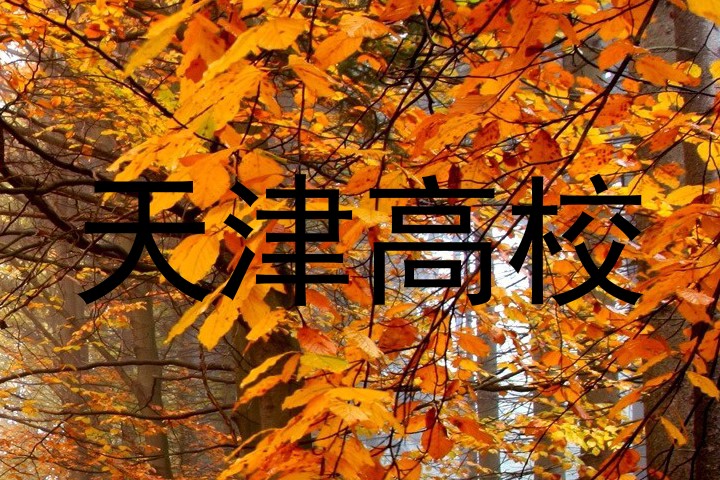 天津高校