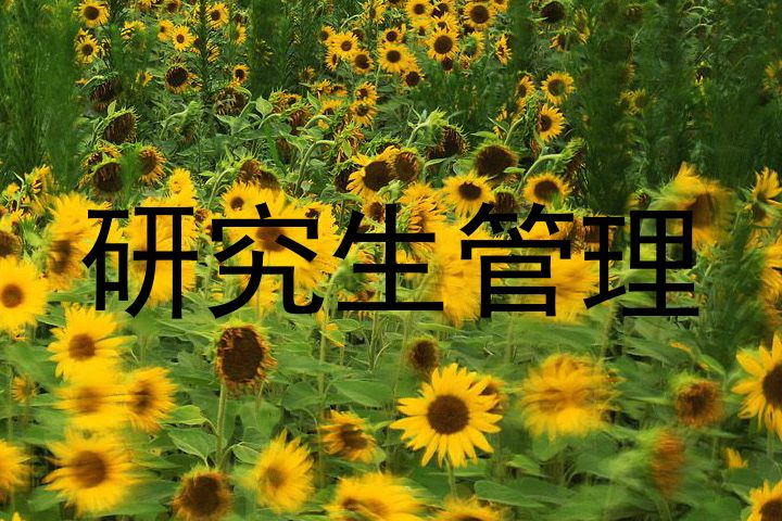 研究生管理