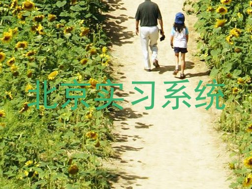 北京实习系统