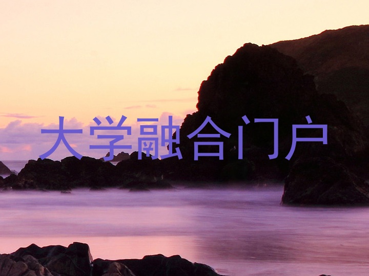 大学融合门户