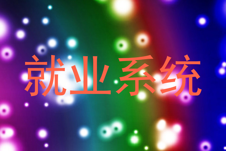 就业系统
