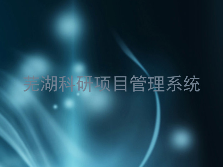 芜湖科研项目管理系统