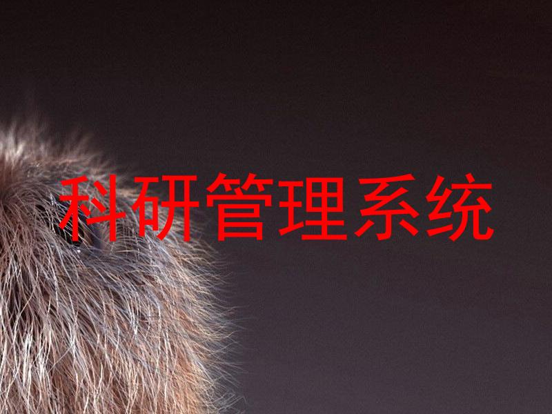 科研项目管理系统
