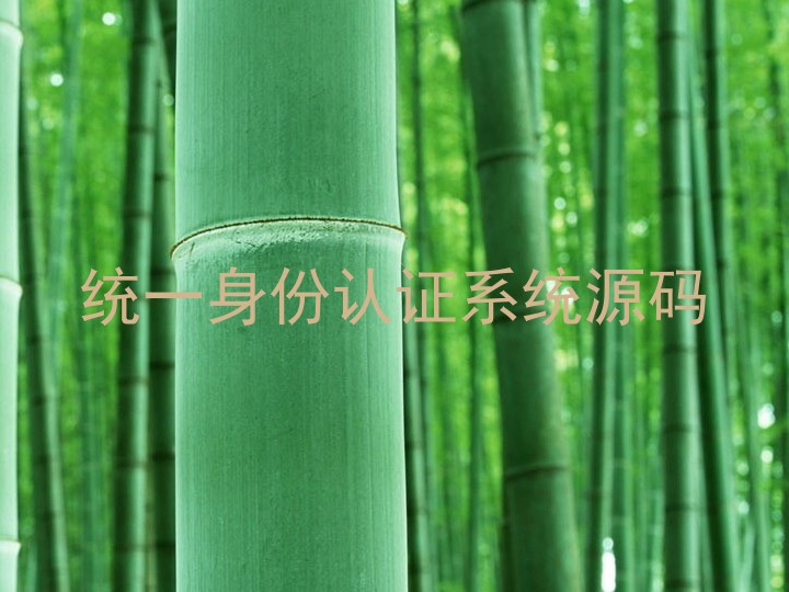 统一身份认证系统源码