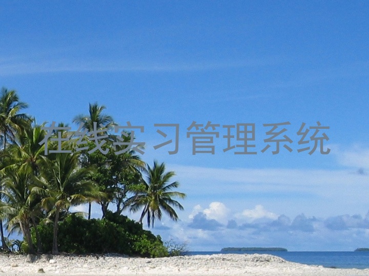 在线实习管理系统
