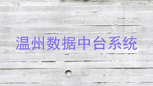 温州数据中台系统