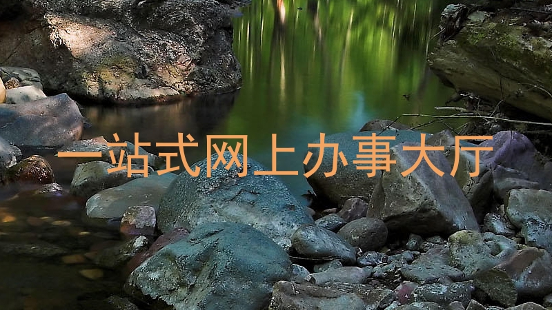 一站式网上办事大厅