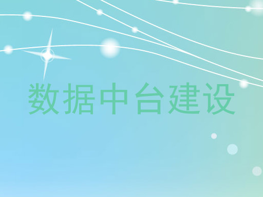 数据中台建设