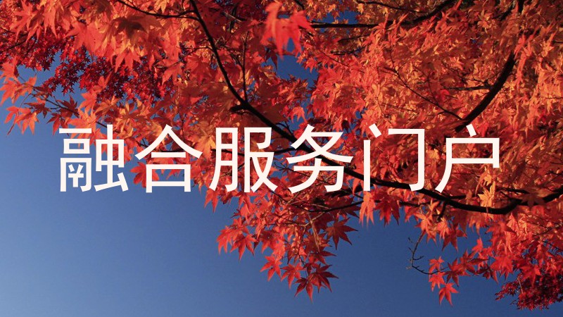 融合服务门户