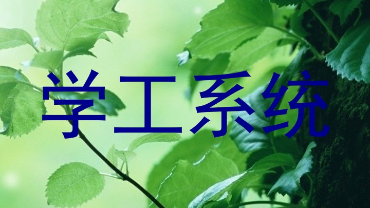 学工系统