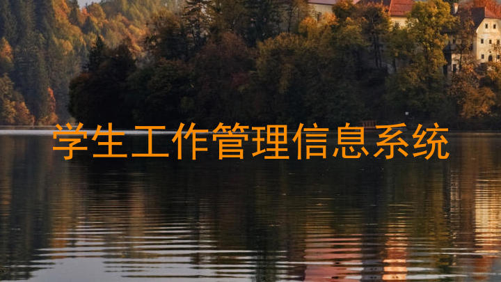 学生工作管理信息系统