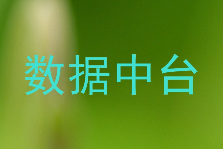 数据中台