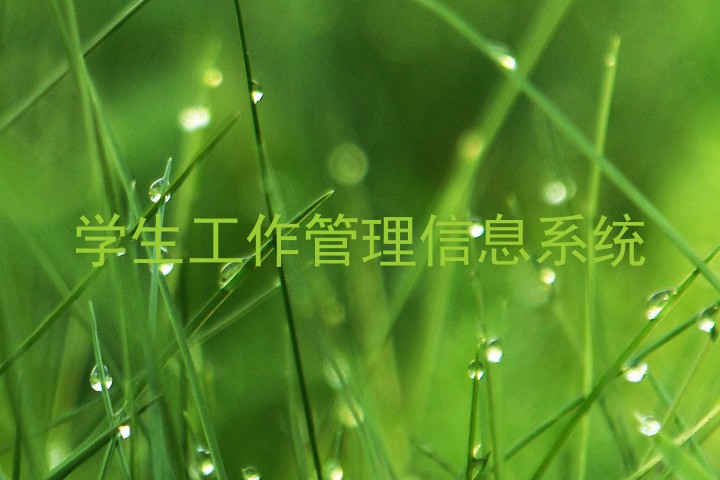 学生工作管理信息系统