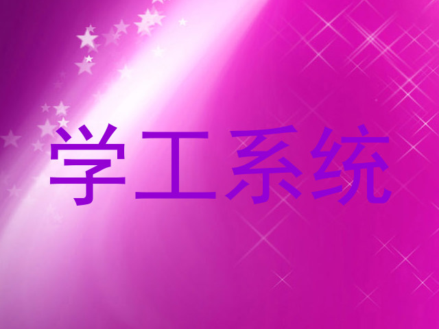 学工系统