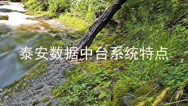 泰安数据中台系统特点