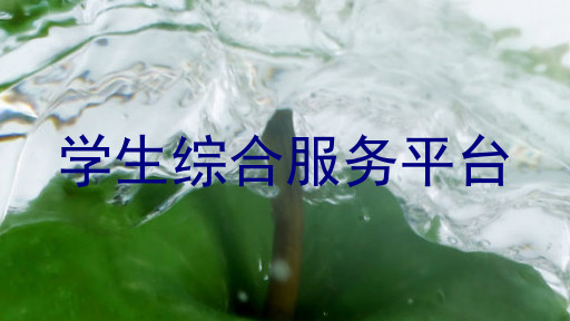 学生综合服务平台