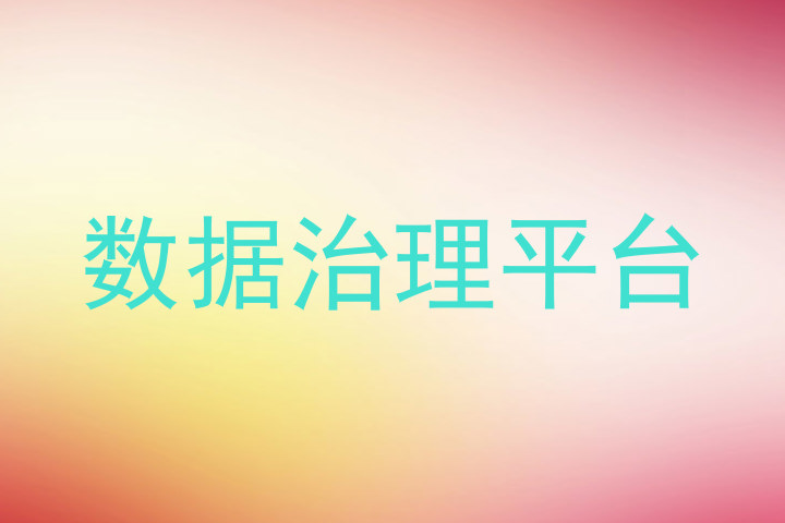 数据治理平台