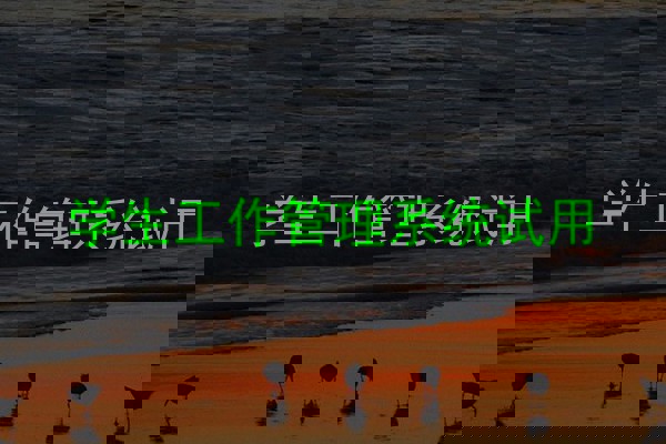 学生工作管理系统试用