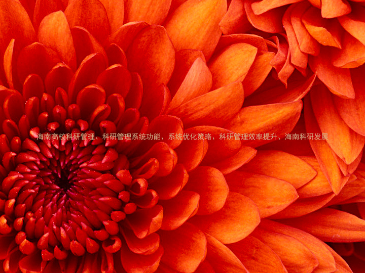 海南高校科研管理、科研管理系统功能、系统优化策略、科研管理效率提升、海南科研发展