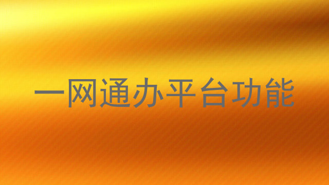 一网通办平台功能