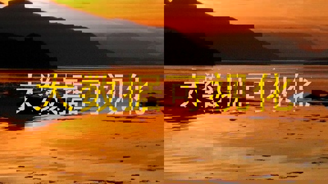 大数据可视化