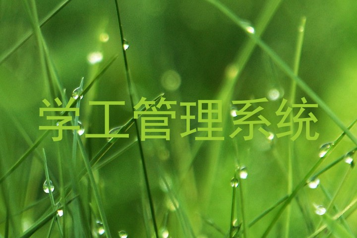 学工管理系统