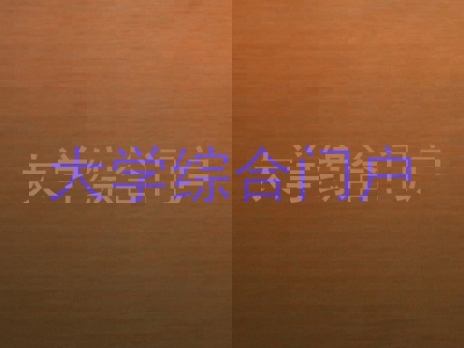 大學(xué)綜合門(mén)戶