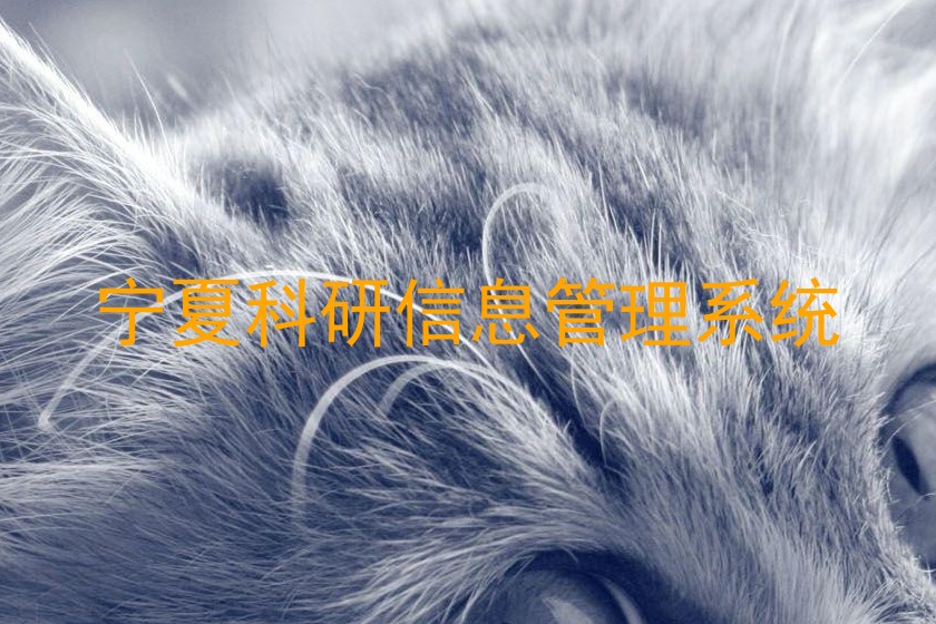 宁夏科研信息管理系统