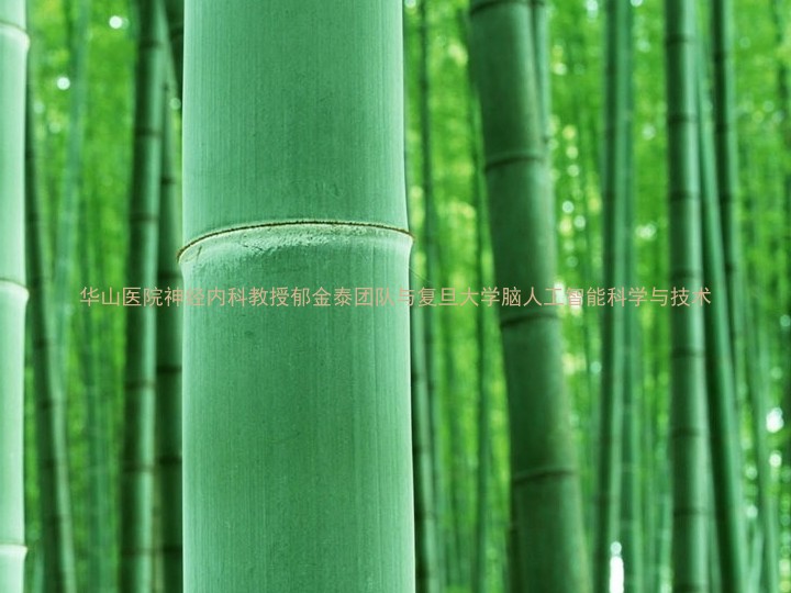 华山医院神经内科教授郁金泰团队与复旦大学脑人工智能科学与技术