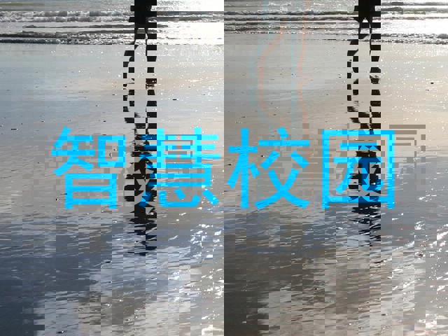 智慧校园