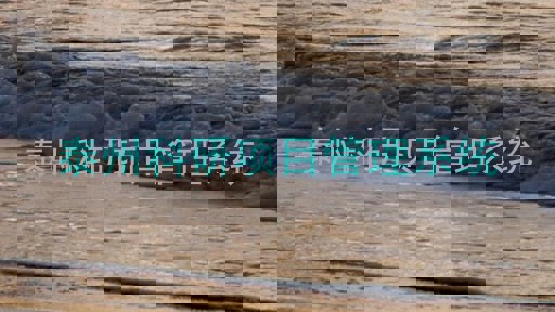 泰州科研项目管理系统