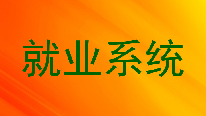 就业系统
