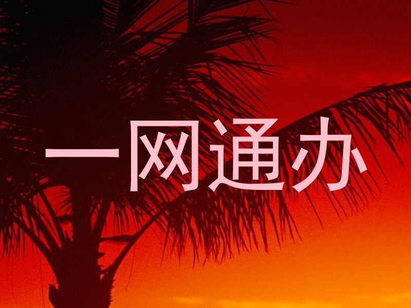 一网通办