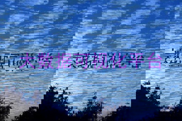 大数据可视化平台