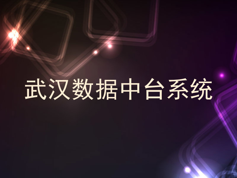武汉数据中台系统