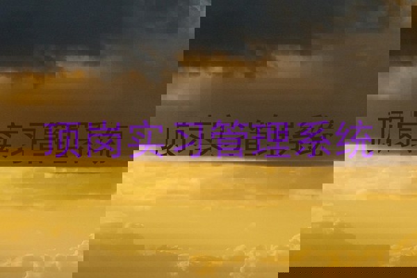 顶岗实习管理系统