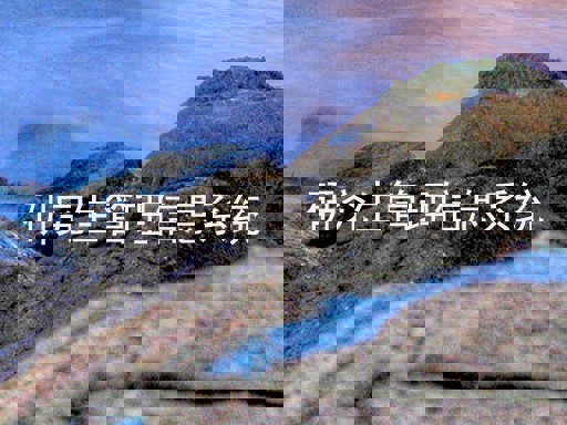 研究生管理信息系统