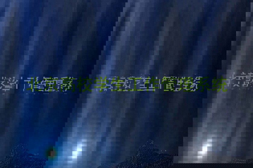北京高校学生工作管理系统