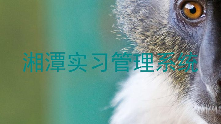 湘潭实习管理系统