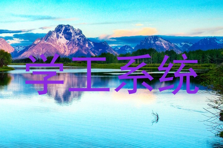 学工系统