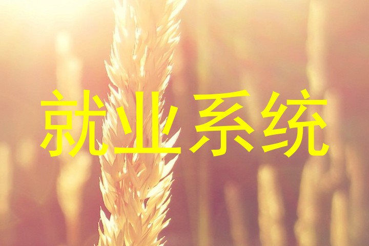 就业系统