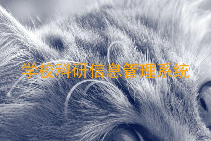 学校科研信息管理系统