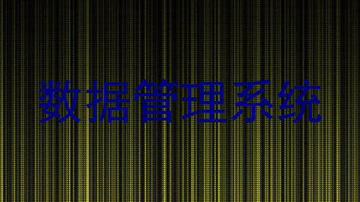数据管理系统